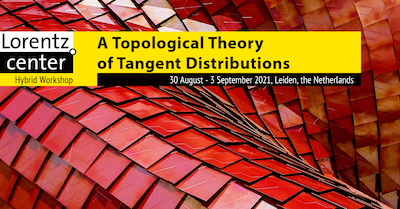 Topological Theory of Distributions poster