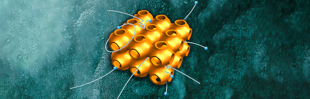 An artistic representation of a Fermi surface